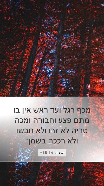 ישעיה 1:6 HEB Bible Verse Image