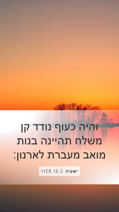 ישעיה 16:2 HEB Bible Verse Image