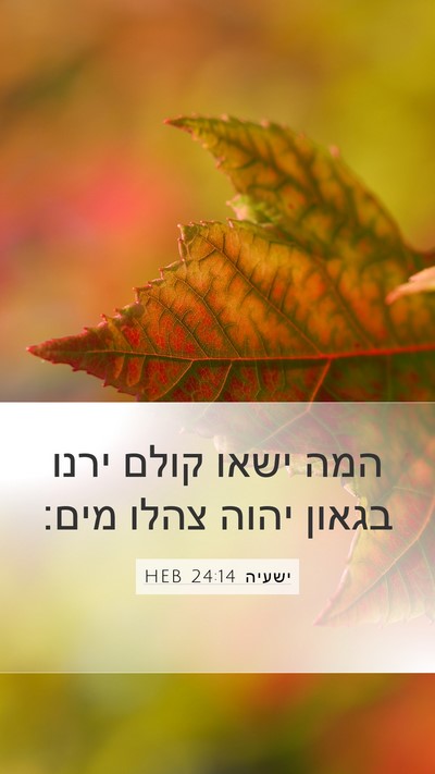 ישעיה 24:14 HEB Bible Verse Image