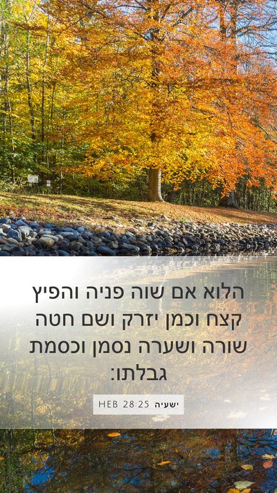 ישעיה 28:25 HEB Mobile Phone Wallpaper - הלוא אם שוה פניה והפיץ קצח - Mobile Bible Verse Wallpaper