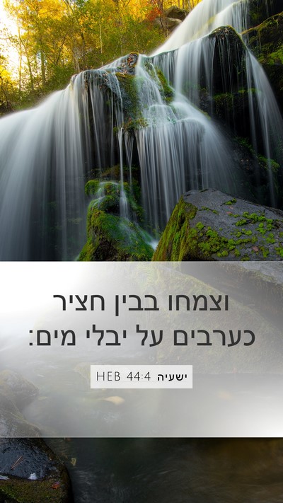 ישעיה 44:4 HEB Bible Verse Image