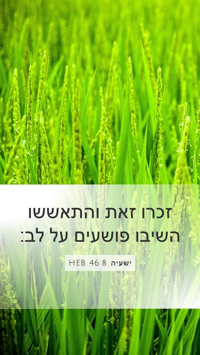 ישעיה 46:8 HEB Bible Verse Image