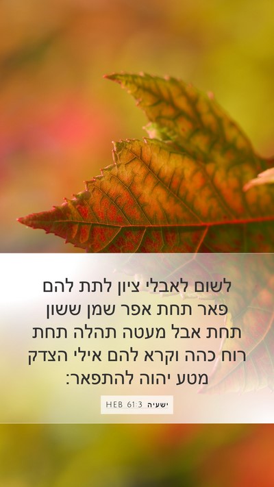 ישעיה 61:3 HEB Bible Verse Image