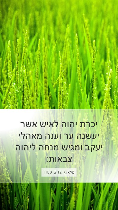 מלאכי 2:12 HEB Mobile Phone Wallpaper - יכרת יהוה לאיש אשר יעשנה ער - Mobile Bible Verse Wallpaper