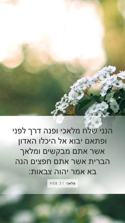 מלאכי 3:1 HEB Bible Verse Image