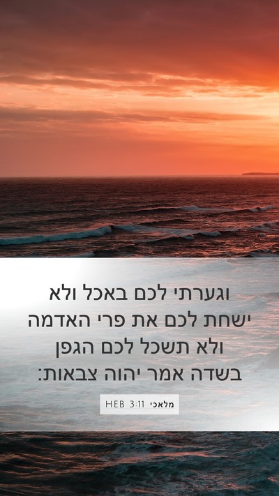 מלאכי 3:11 HEB Mobile Phone Wallpaper - וגערתי לכם באכל ולא ישחת - Mobile Bible Verse Wallpaper