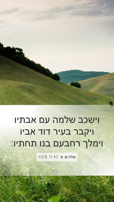 מלכים א 11:43 HEB Bible Verse Image