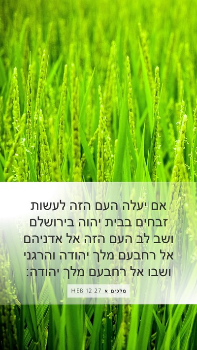 מלכים א 12:27 HEB Bible Verse Image