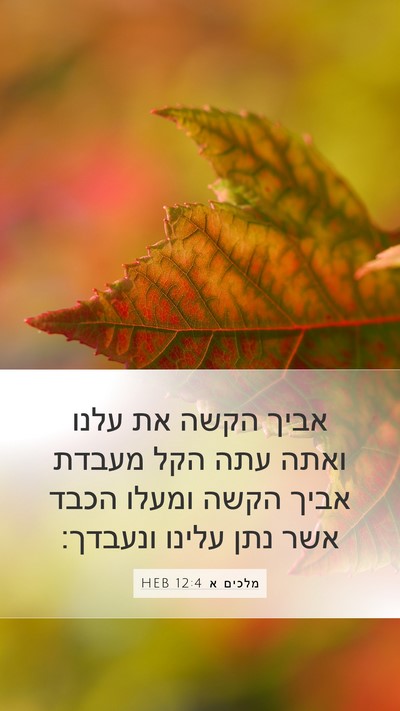 מלכים א 12:4 HEB Bible Verse Image