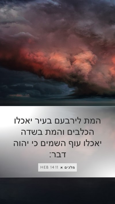 מלכים א 14:11 HEB Bible Verse Image