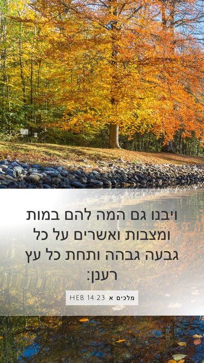 מלכים א 14:23 HEB Bible Verse Image