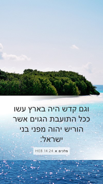 מלכים א 14:24 HEB Bible Verse Image