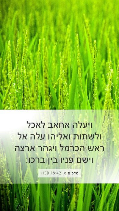 מלכים א 18:42 HEB Bible Verse Image