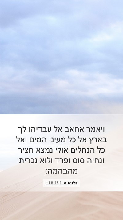 מלכים א 18:5 HEB Bible Verse Image