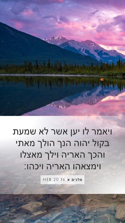 מלכים א 20:36 HEB Bible Verse Image