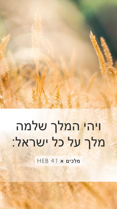 מלכים א 4:1 HEB Bible Verse Image