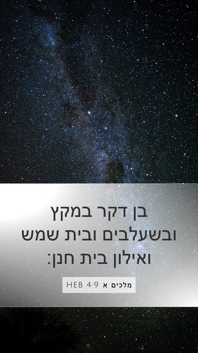 מלכים א 4:9 HEB Bible Verse Image