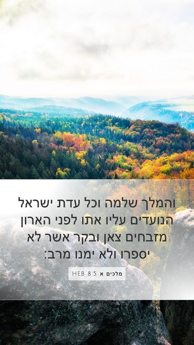 מלכים א 8:5 HEB Bible Verse Image