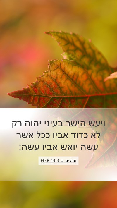 מלכים ב 14:3 HEB Bible Verse Image