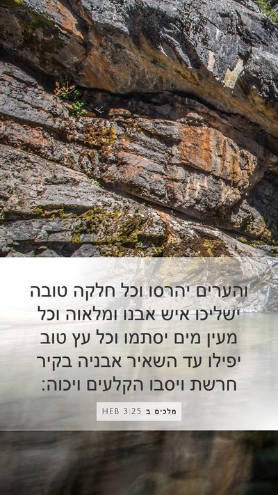 מלכים ב 3:25 HEB Bible Verse Image
