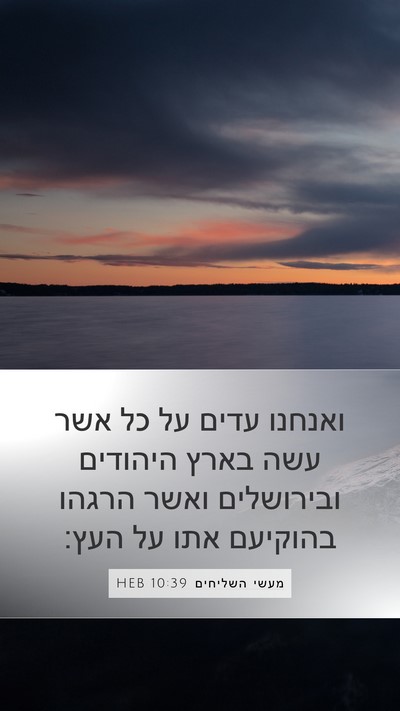 מעשי השליחים 10:39 HEB Bible Verse Image
