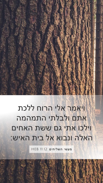 מעשי השליחים 11:12 HEB Bible Verse Image