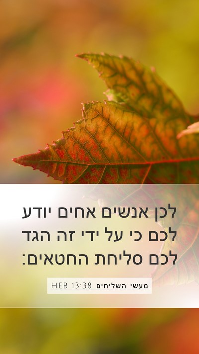 מעשי השליחים 13:38 HEB Bible Verse Image