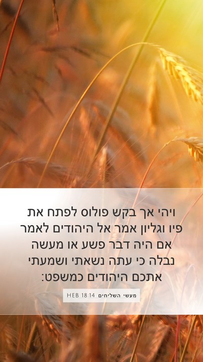מעשי השליחים 18:14 HEB Bible Verse Image