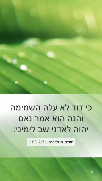 מעשי השליחים 2:34 HEB Bible Verse Image
