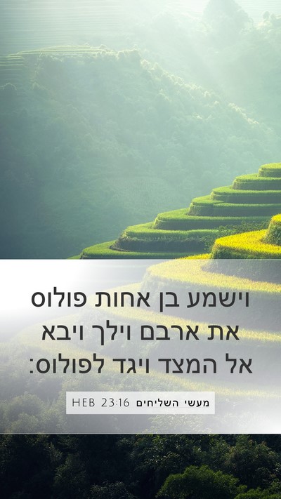 מעשי השליחים 23:16 HEB Bible Verse Image