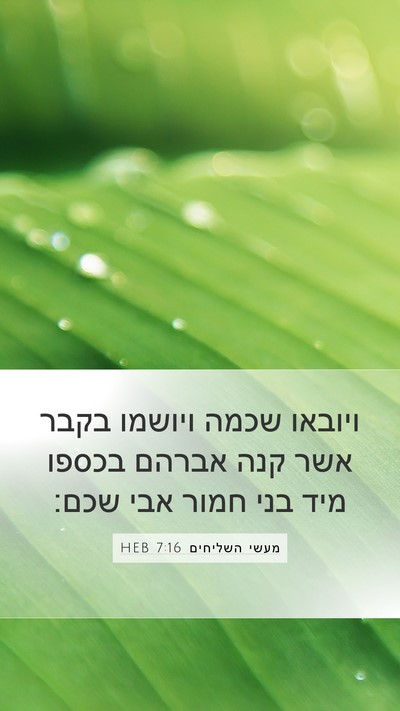 מעשי השליחים 7:16 HEB Bible Verse Image
