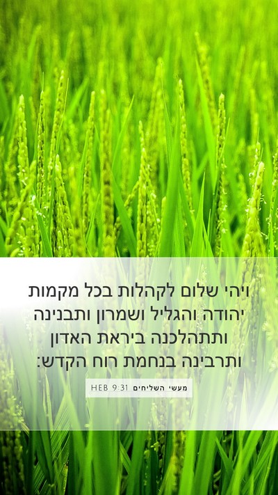 מעשי השליחים 9:31 HEB Bible Verse Image