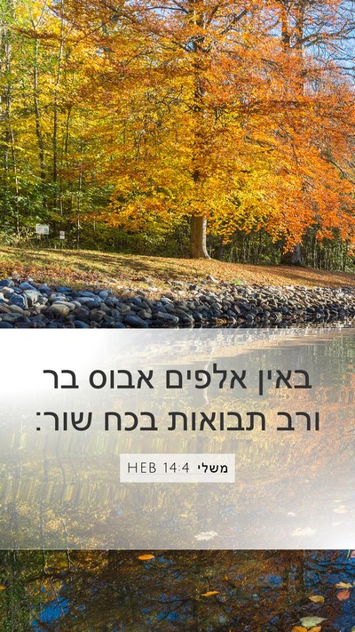 משלי 14:4 HEB Bible Verse Image