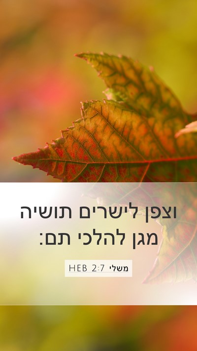 משלי 2:7 HEB Bible Verse Image