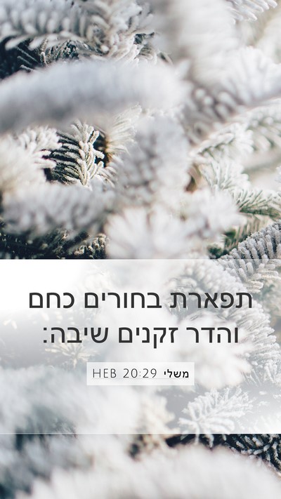 משלי 20:29 HEB Bible Verse Image