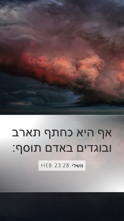 משלי 23:28 HEB Mobile Phone Wallpaper - אף היא כחתף תארב ובוגדים - Mobile Bible Verse Wallpaper