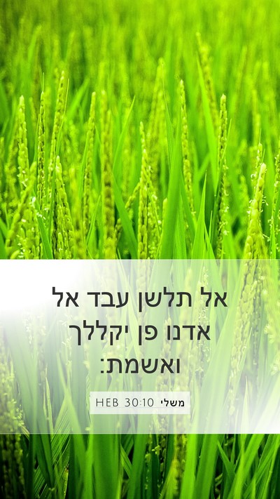 משלי 30:10 HEB Bible Verse Image