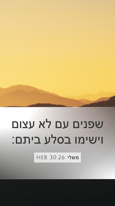 משלי 30:26 HEB Mobile Phone Wallpaper - שפנים עם לא עצום וישימו - Mobile Bible Verse Wallpaper