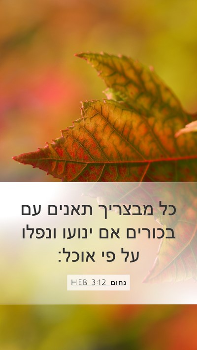נחום 3:12 HEB Bible Verse Image
