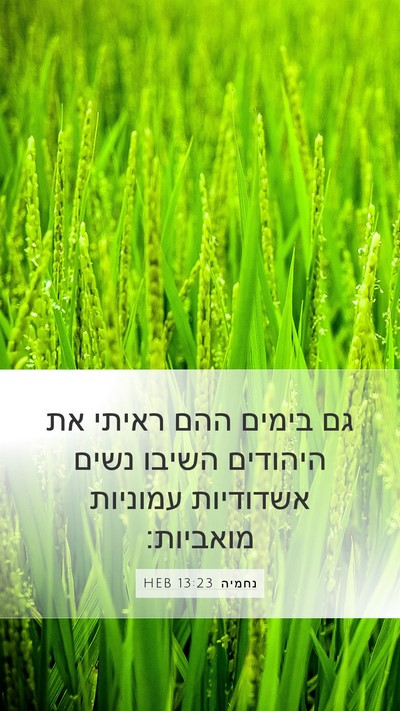 נחמיה 13:23 HEB Bible Verse Image