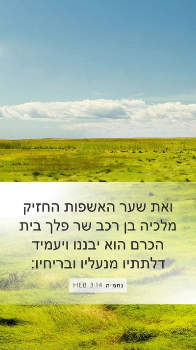 נחמיה 3:14 HEB Bible Verse Image