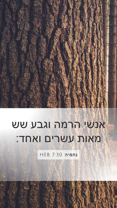 נחמיה 7:30 HEB Bible Verse Image