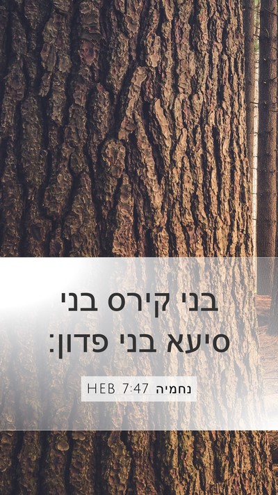 נחמיה 7:47 HEB Mobile Phone Wallpaper - בני קירס בני סיעא בני - Mobile Bible Verse Wallpaper