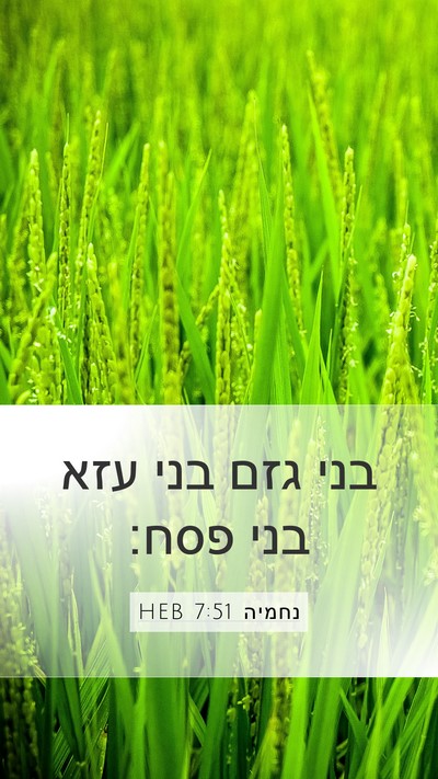 נחמיה 7:51 HEB Mobile Phone Wallpaper - בני גזם בני עזא בני - Mobile Bible Verse Wallpaper