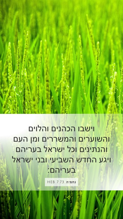 נחמיה 7:73 HEB Bible Verse Image