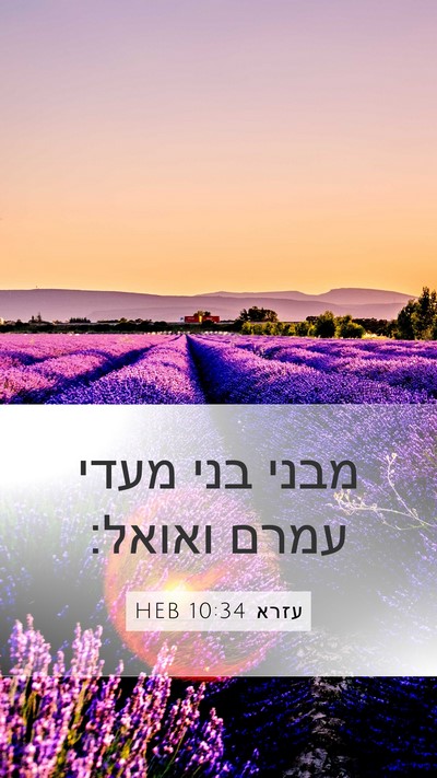 עזרא 10:34 HEB Mobile Phone Wallpaper - מבני בני מעדי עמרם - Mobile Bible Verse Wallpaper