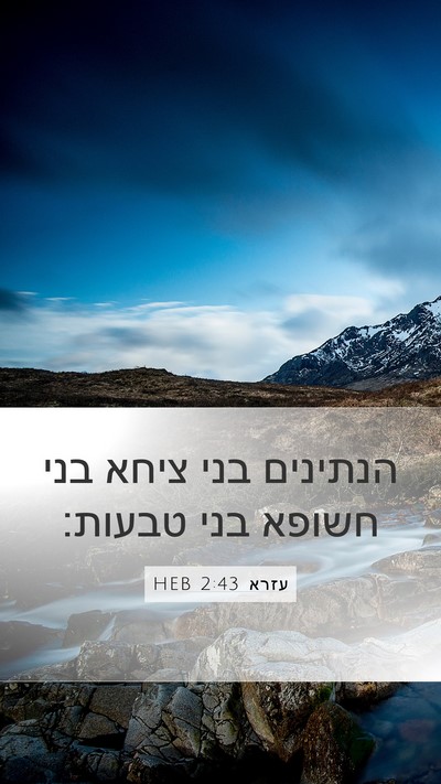 עזרא 2:43 HEB Mobile Phone Wallpaper - הנתינים בני ציחא בני חשופא - Mobile Bible Verse Wallpaper