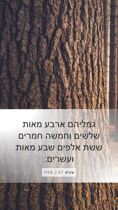 עזרא 2:67 HEB Mobile Phone Wallpaper - גמליהם ארבע מאות שלשים - Mobile Bible Verse Wallpaper