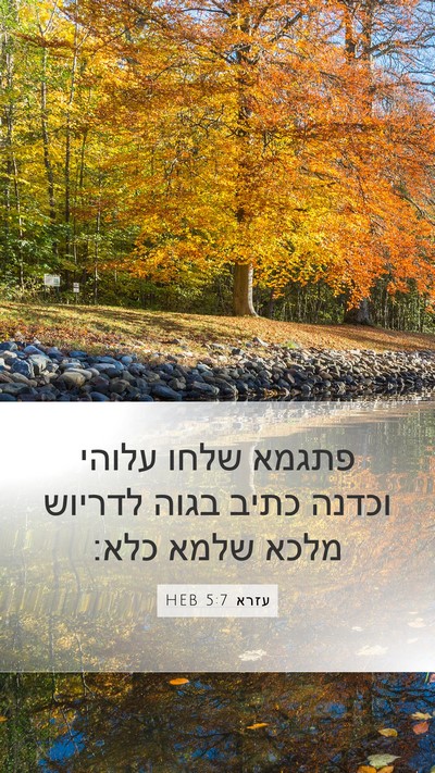 עזרא 5:7 HEB Bible Verse Image