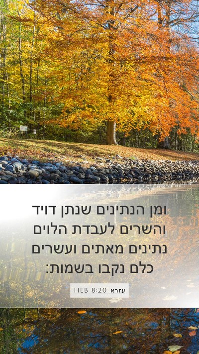 עזרא 8:20 HEB Bible Verse Image